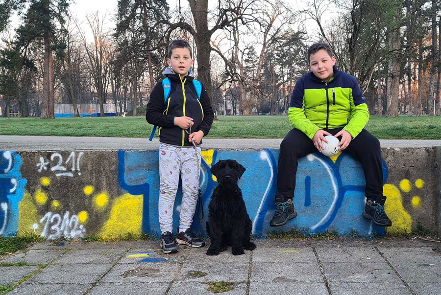 dva dječaka sjede na zidu u parku a između njih crni pas