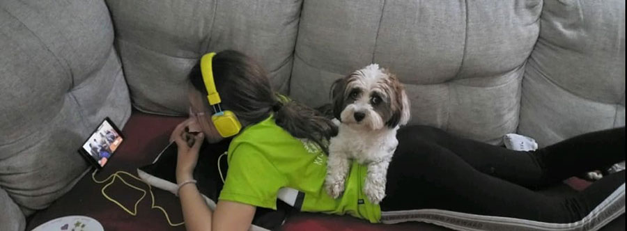 djevojčica leži na kauču i gleda u telefon, a pas leži preko njenih leđa