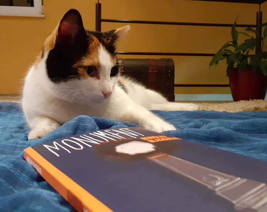 Mačka leži pored knjige
