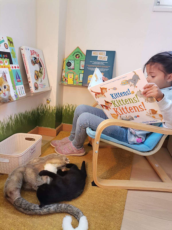 djevojčica čita knjigu, a pored nje leže dvije mace