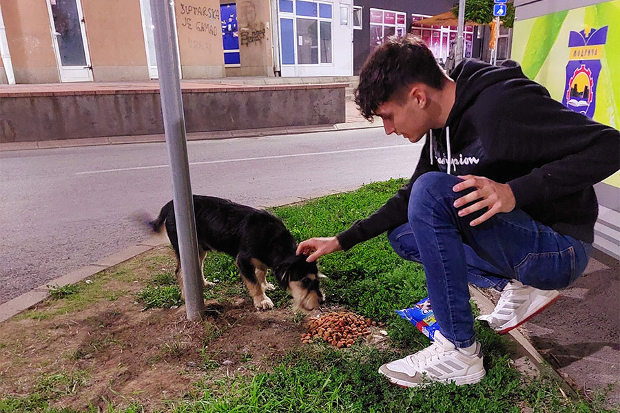 Nemanja Nedaković hrani psa na ulici