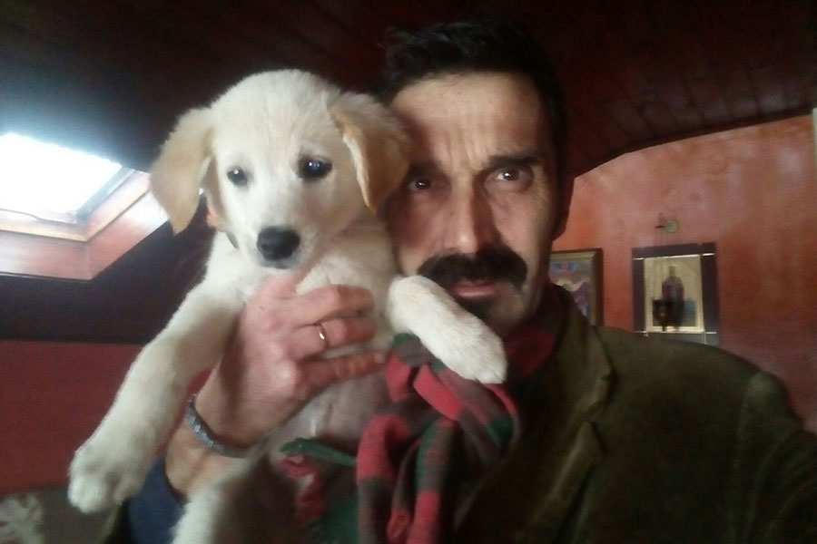 Mali bijeli pas i Dalibor Topalović
