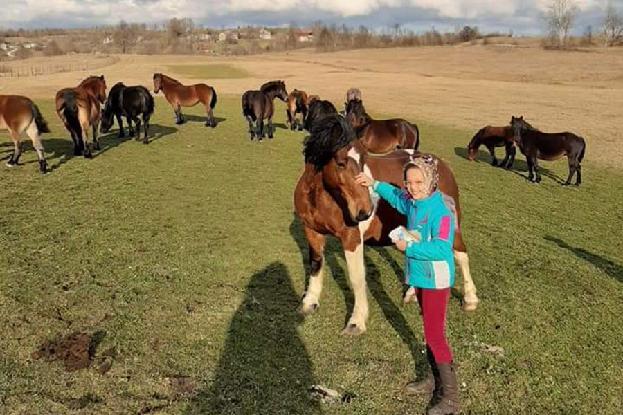 Djevojčica mazi konja dok se iza njih na livadi nalazi još desetak konja