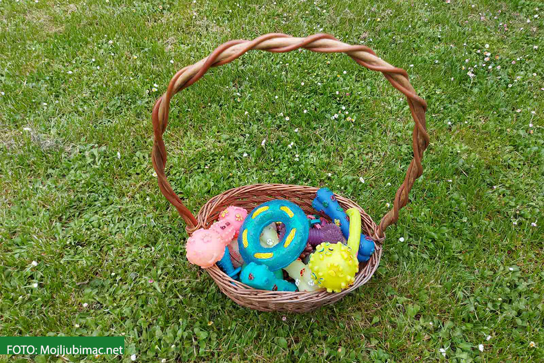 korpa sa igračkama za pse na travi
