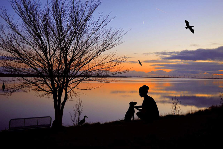 pas i djevojka na obali rijeke zalazak sunca