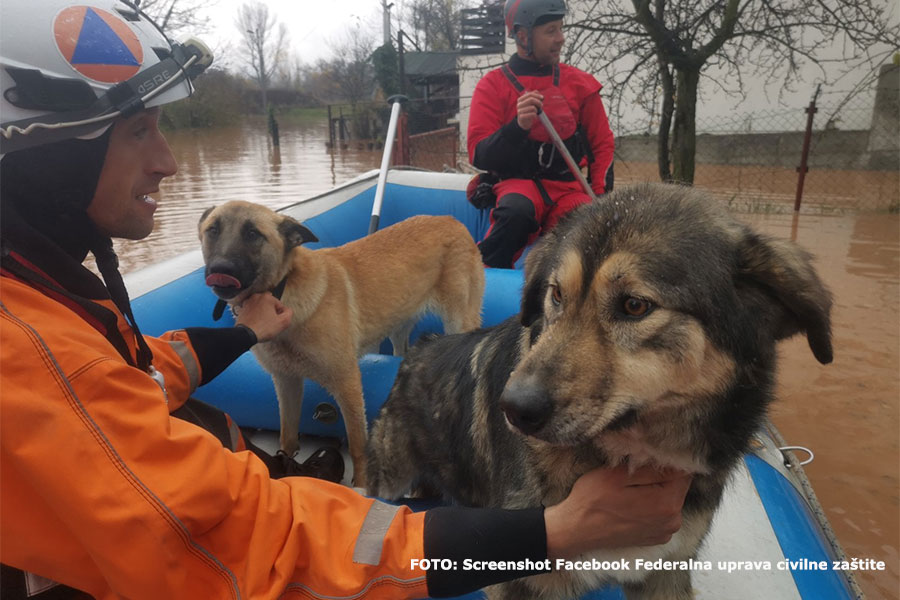 spasioci spašaju pse iz poplava