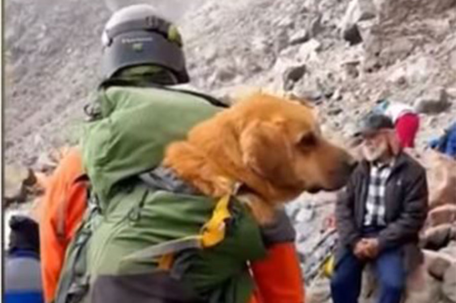 Planinari spasili psa - Kanelo