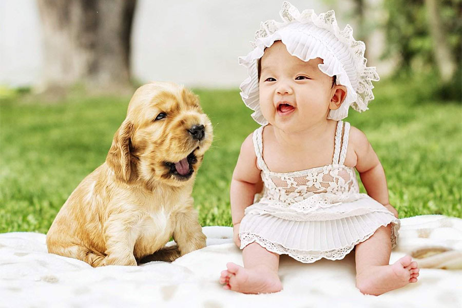 psić i beba sjede na dekici